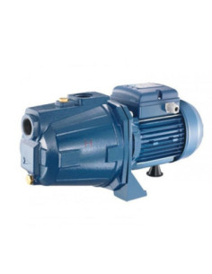 ELECTRO POMPE CAM CENTRIFUGE