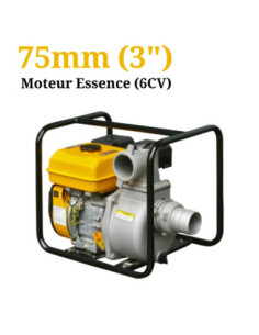 MOTO-POMPE OHV 4,4KW 3" RT80ZB28-3,8Q