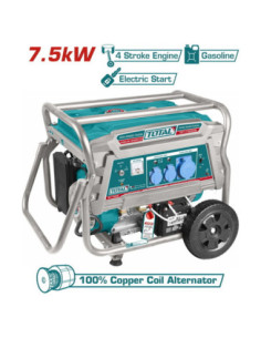 GROUPE ELECTROGENE 7,5KW ESS A/B TP175006