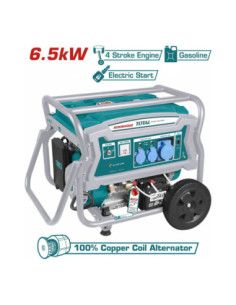 GROUPE ELECTROGENE 6,5KW ESS A/B TP165006