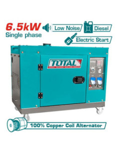 GROUPE ELECTROGENE 6,5KW DIESEL A/B TP265001