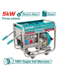 GROUPE ELECTROGENE 5KW DIESEL A/B TP450003