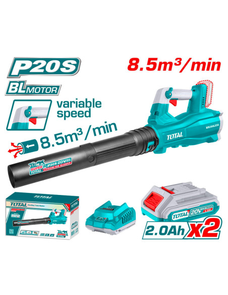 SOUFLEUR 20V 2.2AH/CH TABLI204282
