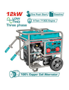 GROUPE ÉLECTROGÈNE 12KW ESS A/B 380V TP1150006T
