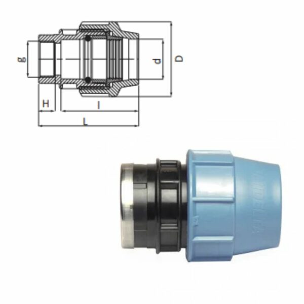 RACCORD TARAUDÉ À COMPRESSION FEMELLE