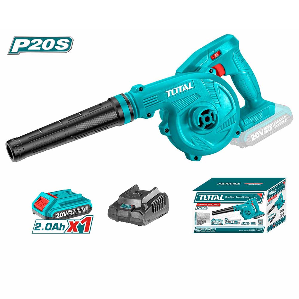 SOUFFLEUR 20V 2AH/CH TABLI200181